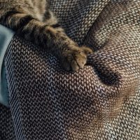 Scarf 'Nifida' - Image 4